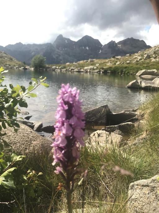 Coqueto Y Centrico En Panticosa Daire Dış mekan fotoğraf